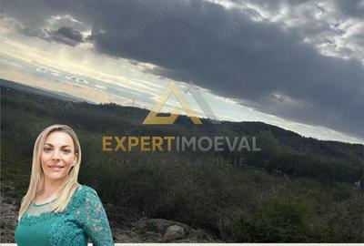 Teren de 16300 mp, în Tăuții-Măgherăuș - 1