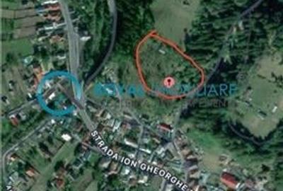 Teren Construcții intravilan de 5041.41015625 mp, în Voineasa - 12