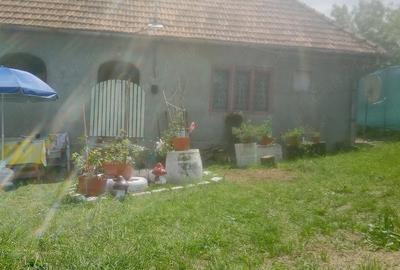 Casă cu Teren 1450 Mp în Baia de Criș