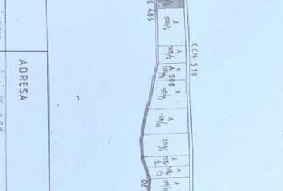 Teren ideal pentru casa de vacanta sau locuinta permanenta, la marginea padurii - 8