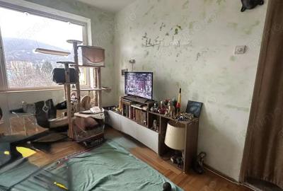 Apartament cu 2 camere semidecomandat în Săsar - 1