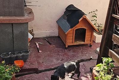 Vand casa - 5