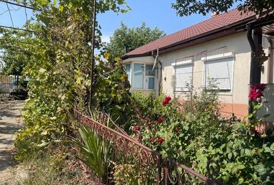 Casa cu anexe 477 mp + teren 1471 mp - Cobadin Primaverii 99 - 10