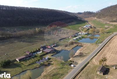 Teren de 7000 mp, în Laslea - 8