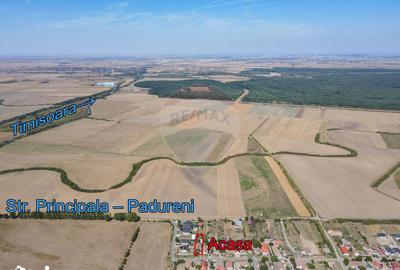 Casă cu 6 camere cu Teren 638 Mp în Pădureni - 8