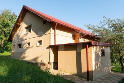 Casa individuala 140 mp, 3000 mp teren, Runcu - 4