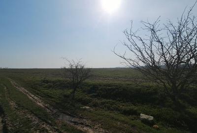 Teren în Bălăceanca