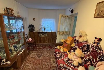 Casă cu 5 camere cu Teren 800 Mp în Valea Doftanei - 4