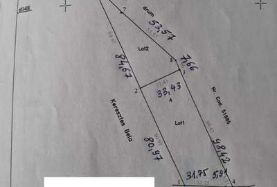 Spațiu comercial, în Șărmășag - 3