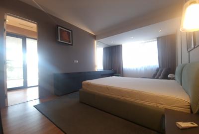 Apartament Ultra Lux  3 Camere  Parcare terasa 70 mp  Ultracentral - 29