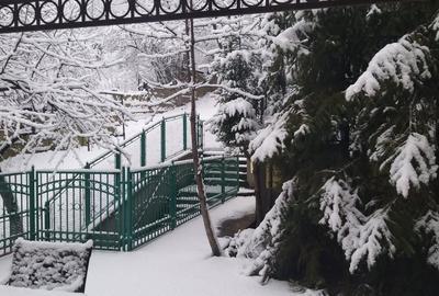 Vila splendida cu 500 mp utili de vanzare in Cluj centru, pe teren de 1645 mp - 4