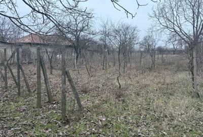 Spațiu comercial, în Fefelei - 1