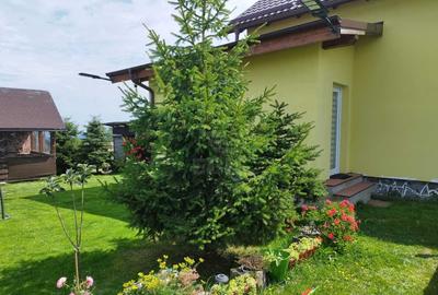 ? Cabană de vânzare în Beliș – Refugiu perfect în natură! ?? - 19