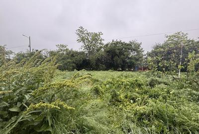 Casă cu 3 camere cu Teren 2500 Mp în Costești - 1