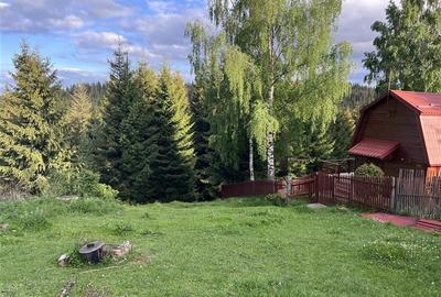 Teren intravilan de 3400 mp, în Muntele Băișorii - 3