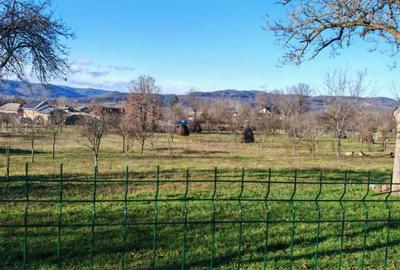 Teren de vanzare 2.550 mp, pozi?ie excelenta, Stalpe - 1