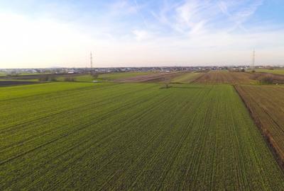 Teren Investitional 1,24 ha Com Berceni | deschidere 42ml | #CG28 - 7