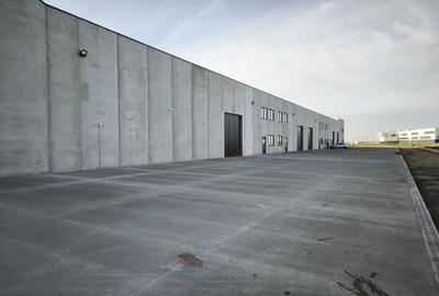 Spațiu comercial, de 523 mp, în Sânandrei - 5