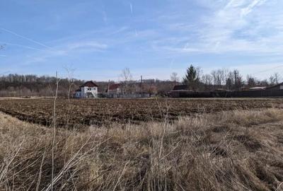 Teren Construcții intravilan de 13383 mp, în Broșteni (Costești)