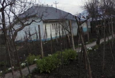 Casă în Central - 4