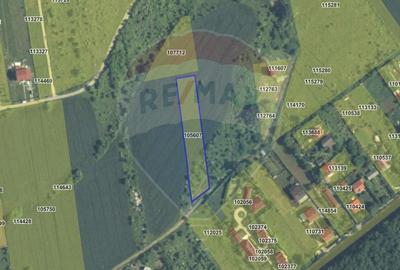 Teren 3000 mp in Snagov - zona in dezvoltare, aproape de padure - 10