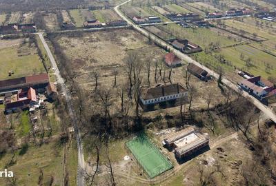 Casă cu 8 camere cu Teren 7235 Mp în Traian Vuia - 1