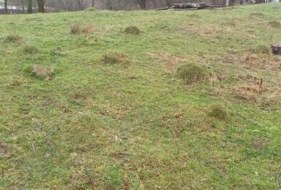 Spațiu comercial, în Valea Unghiului