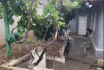 Casă cu 3 camere cu Teren 190 Mp în Pantelimon - 1