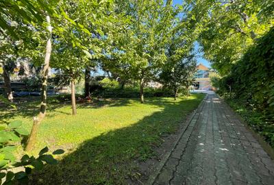 Vila Premium Lipovei Piscina Panouri solare 1180mp teren - 4