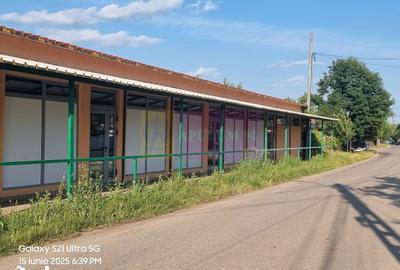 Casă cu 10 camere cu Teren 6000 Mp în Bulbucata - 19