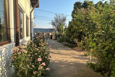 Casă individuală cu 6 camere cu Teren 4265 Mp în Izbiceni - 2