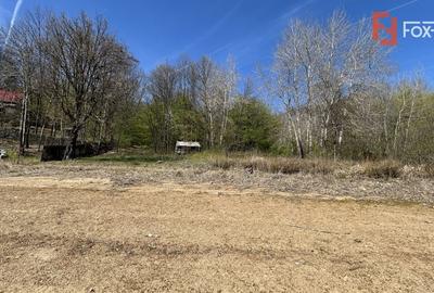 Comision 0% Teren de vanzare 6000 mp cu iesire la Lac Surduc - 2