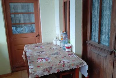 Casă cu 3 camere cu Teren 3780 Mp în Lădești - 5