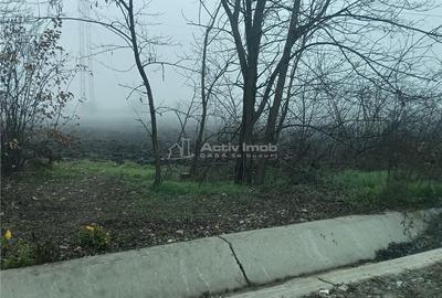 Spațiu comercial, în Cornetu