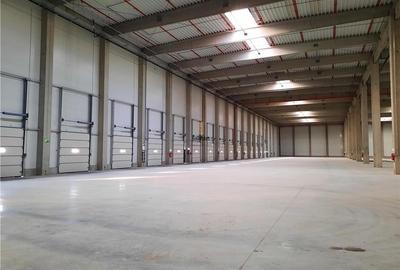 Spatiu Industrial - 4500 mp - Logistica - Productie - Depozitare - Distributie