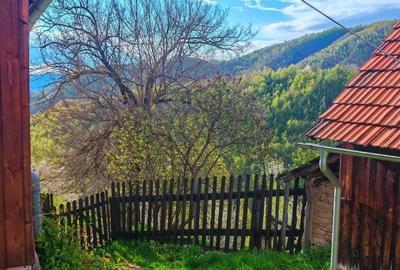 Casă cu 4 camere în Luncani - 1