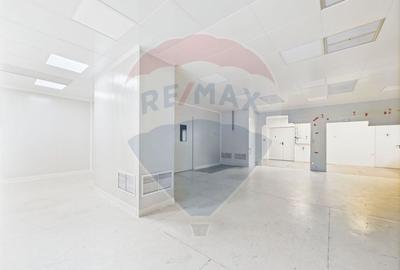 Spatiu multifunctional de birouri si productie langa Kaufland Vitan Spatiu multifunctional de birouri si productie langa Kaufland Vitan - 17