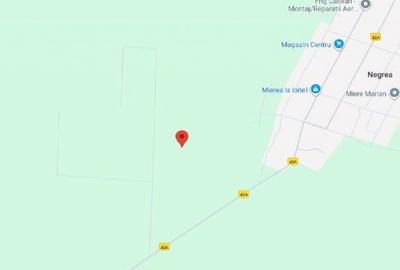 Teren de 9000 mp, în Schela - 4