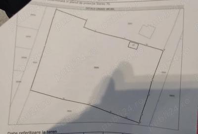 Teren de 3129 mp, în Limpeziș