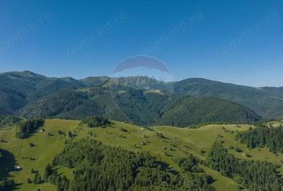 Casă cu 5 camere cu Teren 4200 Mp în Moieciu