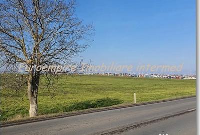 Teren de 25000 mp, în Agigea - 3