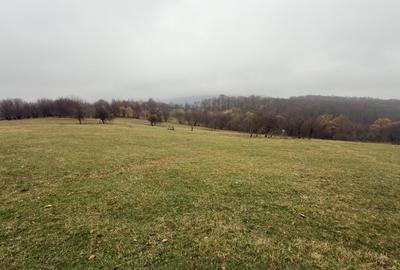 Teren Construcții extravilan de 35000 mp, în Cisnădioara - 3