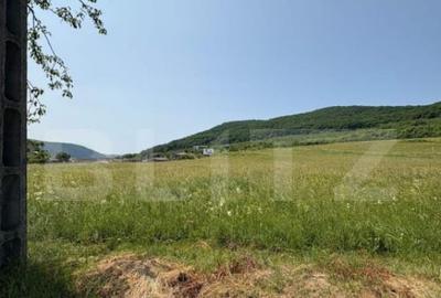 Teren Intravilan, 2.600 mp, zona Metaller, Viisoara - 1