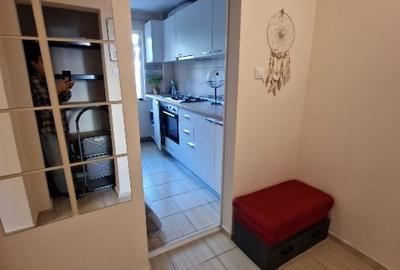 Închiriez apartament 2 camere,inedit,zonă liniștită și plină de verdeață - 8