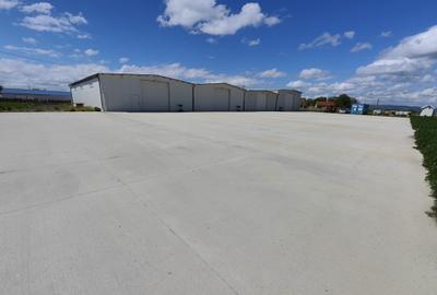 Hala noua depozitare/productie/logistica, zona Prejmer, 1200mp - 2