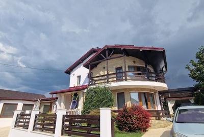 Vila de lux cu piscina, sauna si acces la lacul Casla - 6