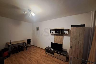 Apartament 2 Camere I De I Titulescu I Victoriei - 8