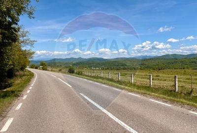 Teren Construcții intravilan de 5565 mp, în Giulești - 4