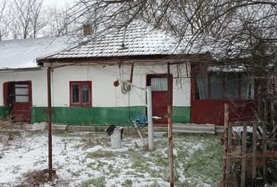 Casă cu 3 camere cu Teren 1600 Mp în Central - 1