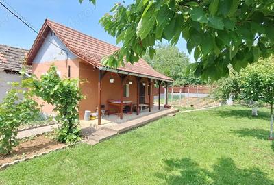 Vand casa de vacanta - 2